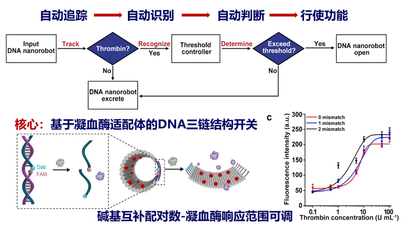 Nature&nbsp;Material...