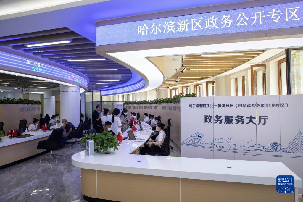 在黑龍江省哈爾濱新區江北一體發展區(自貿試驗區哈爾濱片區)政務服務大廳，市民在辦理業務（2022年7月12日攝）。